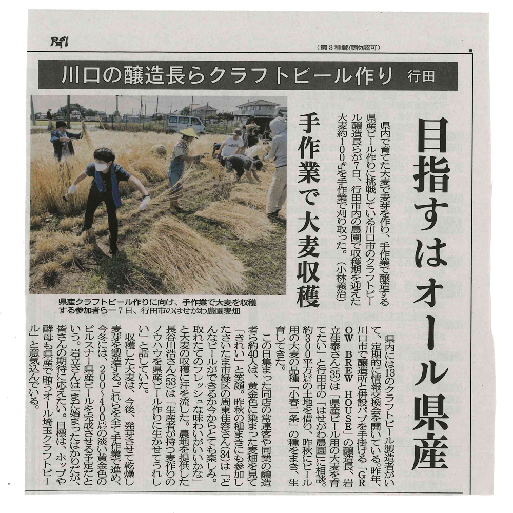 大麦収穫-埼玉新聞6.12
