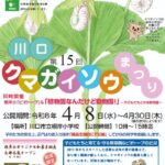 クマガイソウまつり