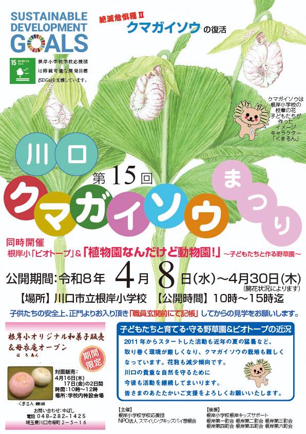 クマガイソウまつり